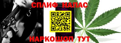 мдпв Моздок